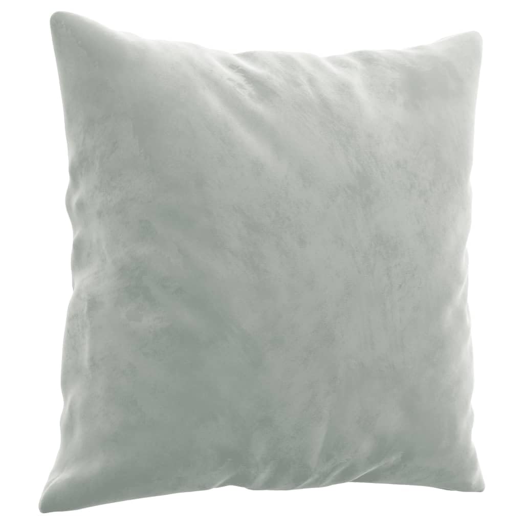 Light Gray Velvet 2 Piece Sofa Set Z55897