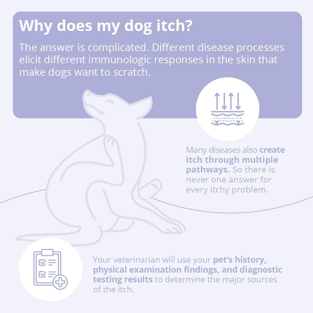 8 oz Spray Conditioner for Dogs, Cats and Horses R1036