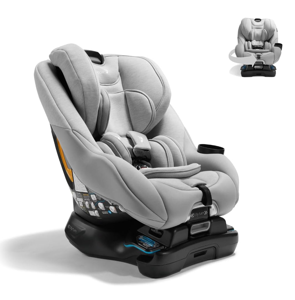 Convertible Car Seat E29886