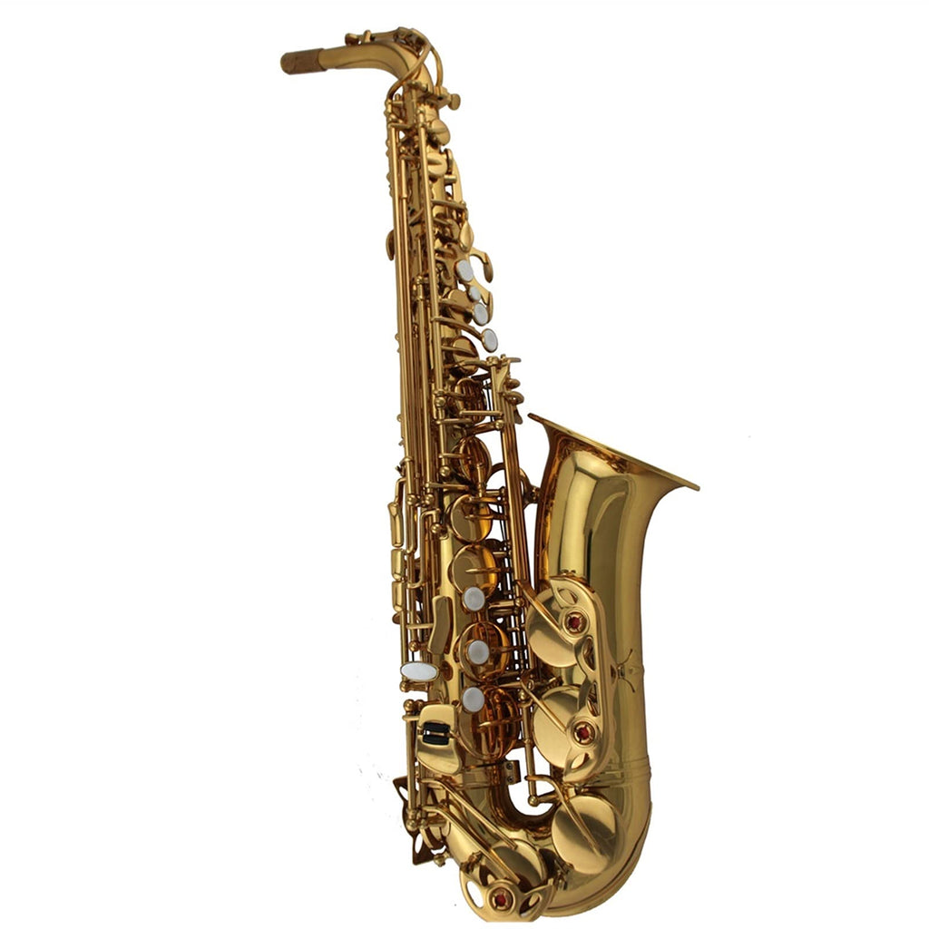 Alto Saxophone Set S8968