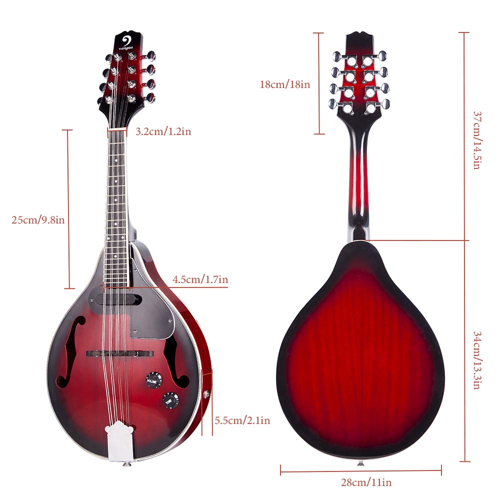 5 String Full Size Banjo and Mandolin Musical Instrument D852077