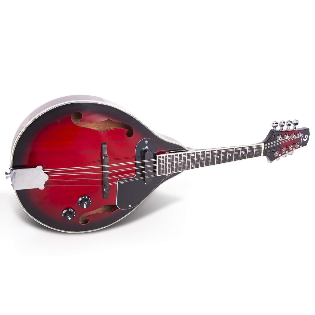 5 String Full Size Banjo and Mandolin Musical Instrument D852077