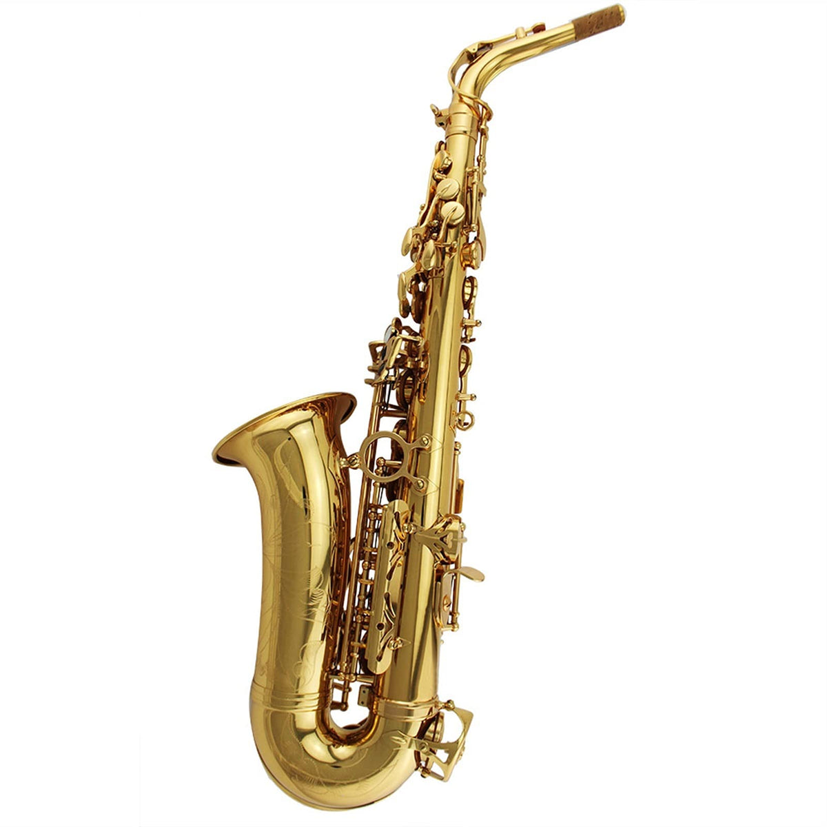Alto Saxophone Set S8968