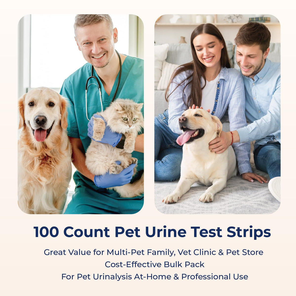 10 Parameter Urinalysis Test Strips 100ct E8069