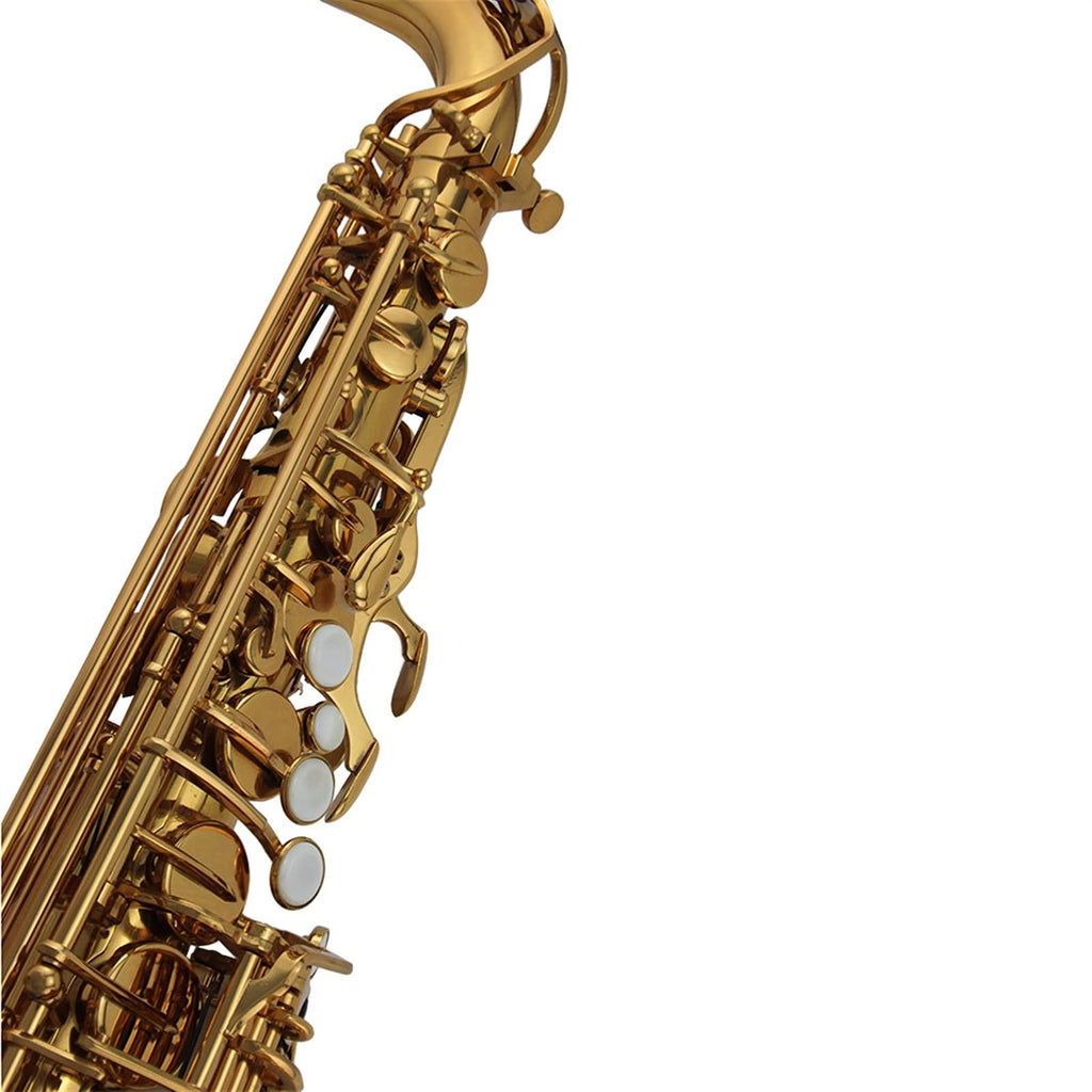 Alto Saxophone Set S8968