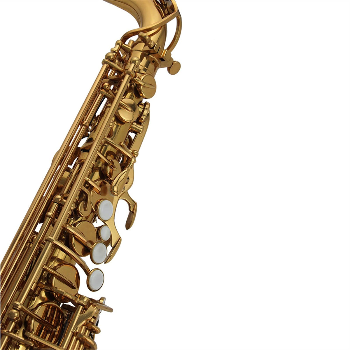 Alto Saxophone Set S8968