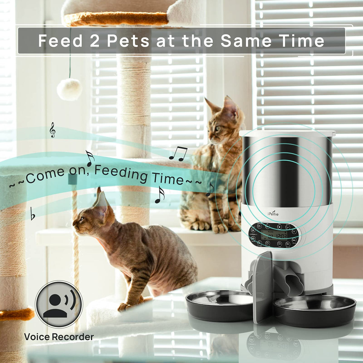 Automatic Pet Feeder with 4.5L Capacity S3468