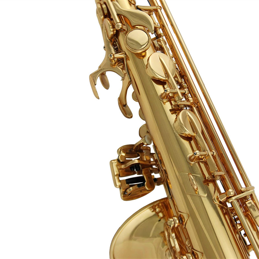 Alto Saxophone Set S8968