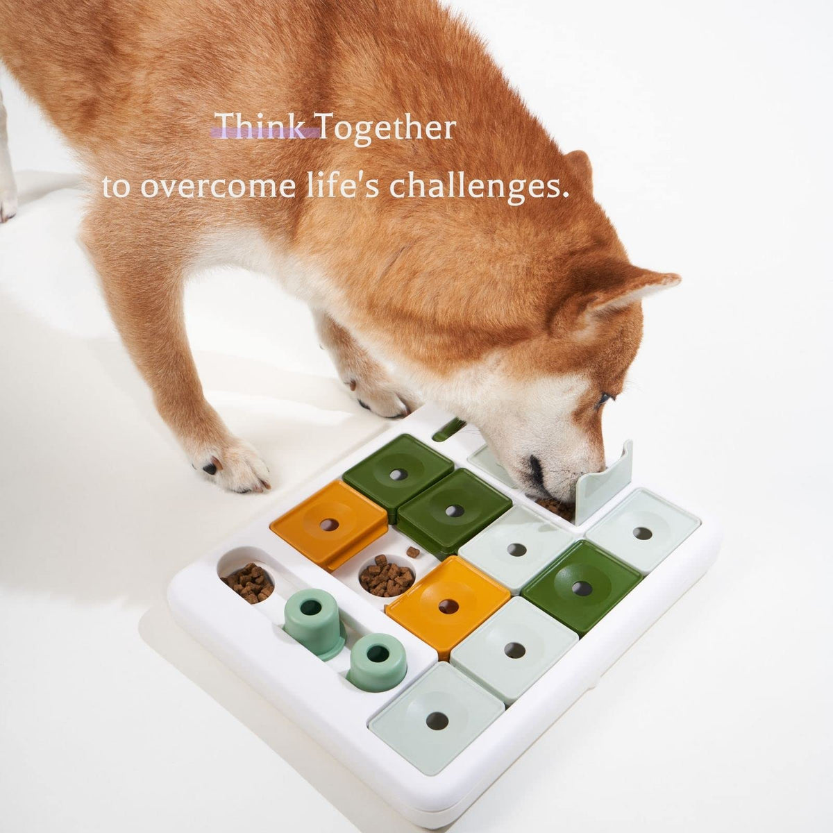 Dog Puzzle Toy 3 Levels D770340
