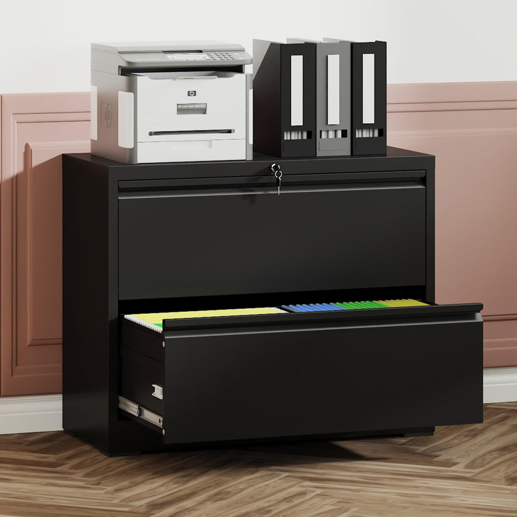 2 Drawer Black Metal File Cabinet with Lock N309187