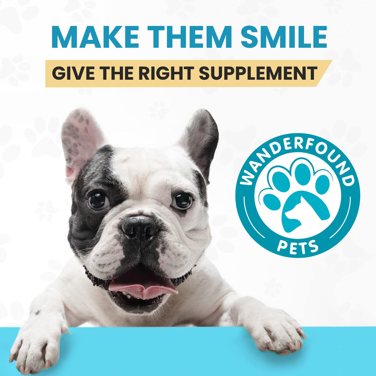 Milk Thistle & SAMe100 for Dogs V108298