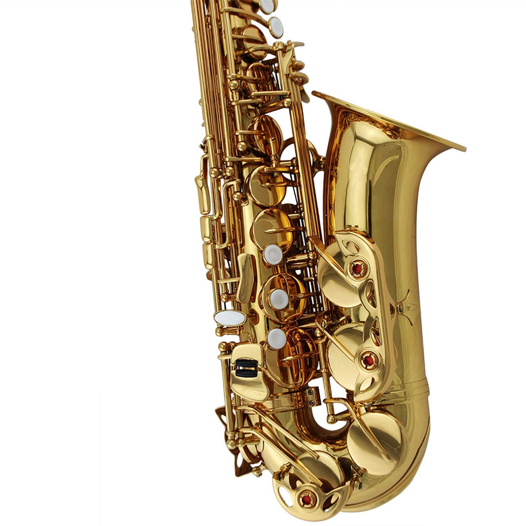Alto Saxophone Set S8968