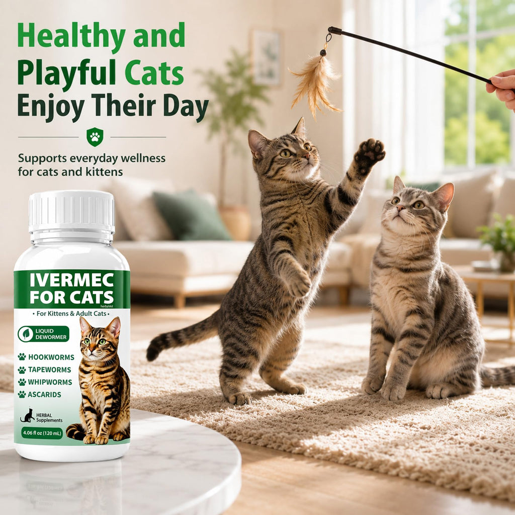 Cat Dewormer Liquid for Cats & Kittens S88013