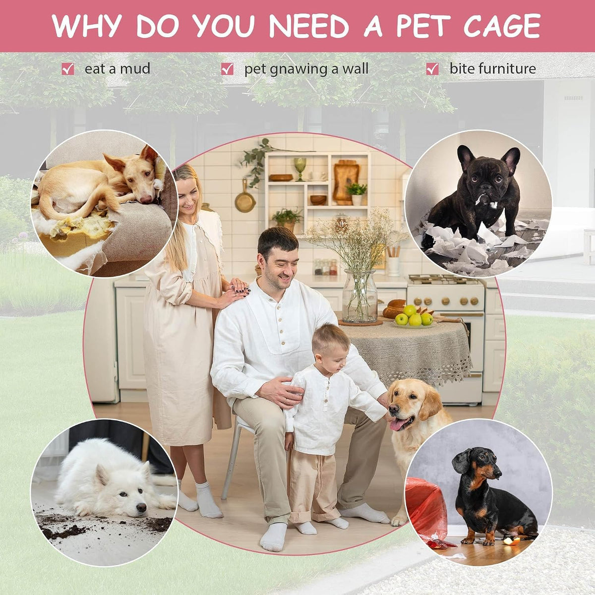 48 Inch Extra Large Foldable Double-Door Dog Crate with Tray B28582