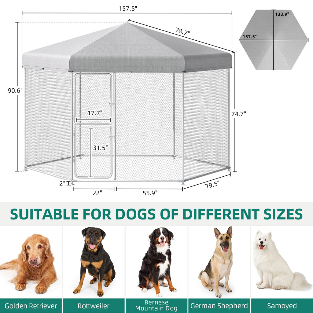 Extra Large Outdoor Dog Kennel E920