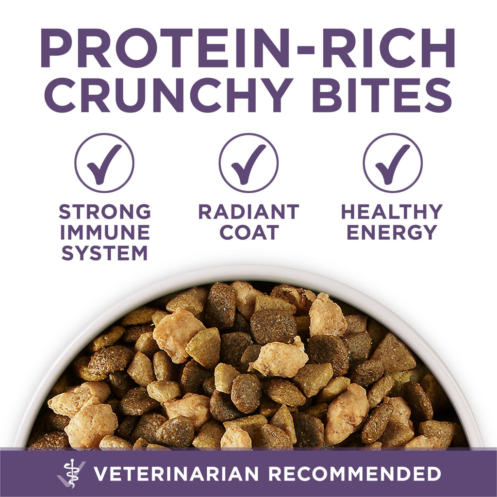 Senior Dry Dog Food 31.1 lb Bag U30217