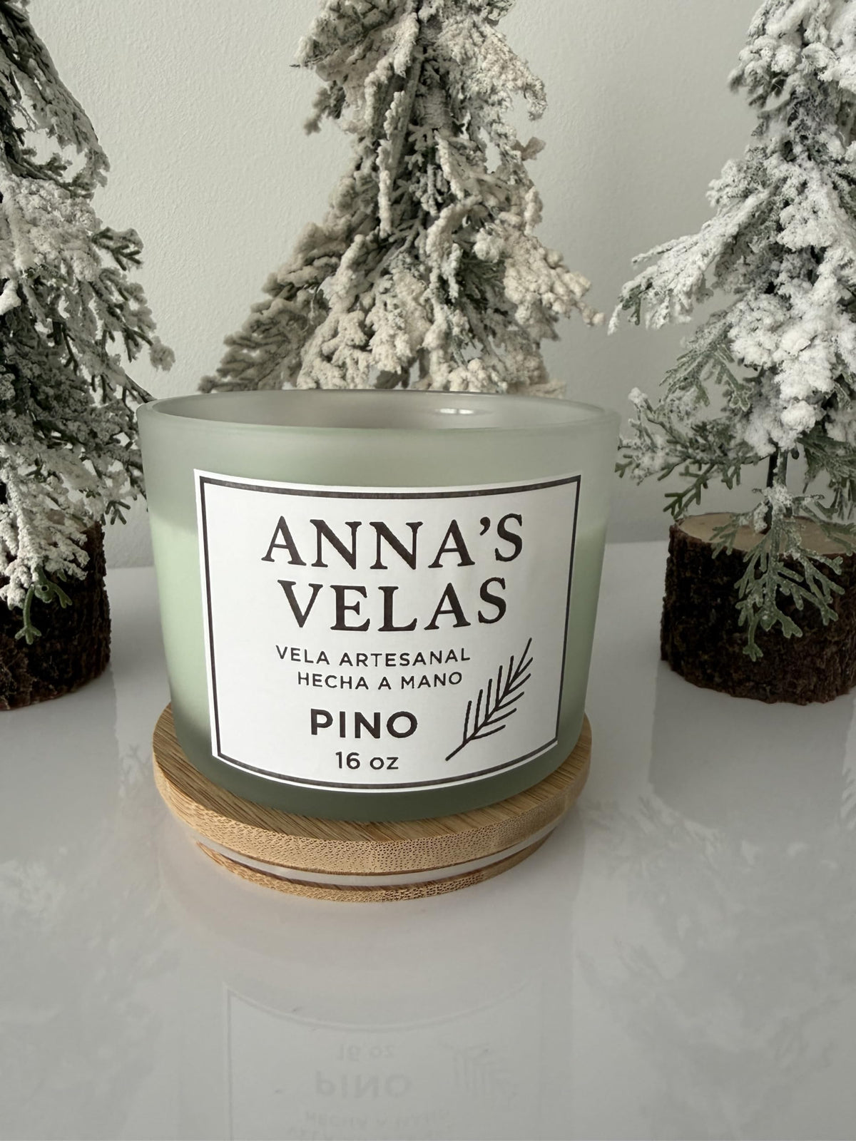 Handmade Soy Candle 16 oz H255