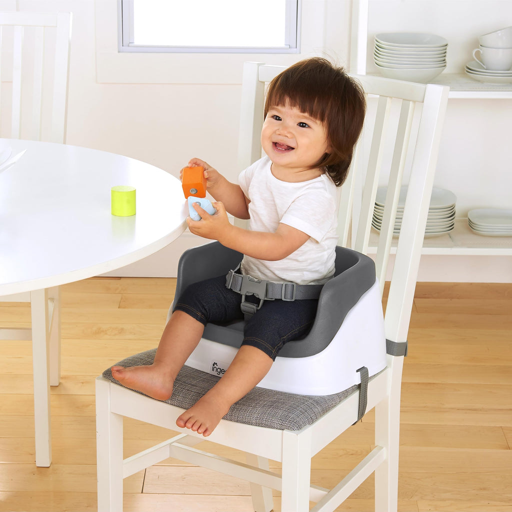 Lightweight Easy-Clean Toddler Booster Seat E2396