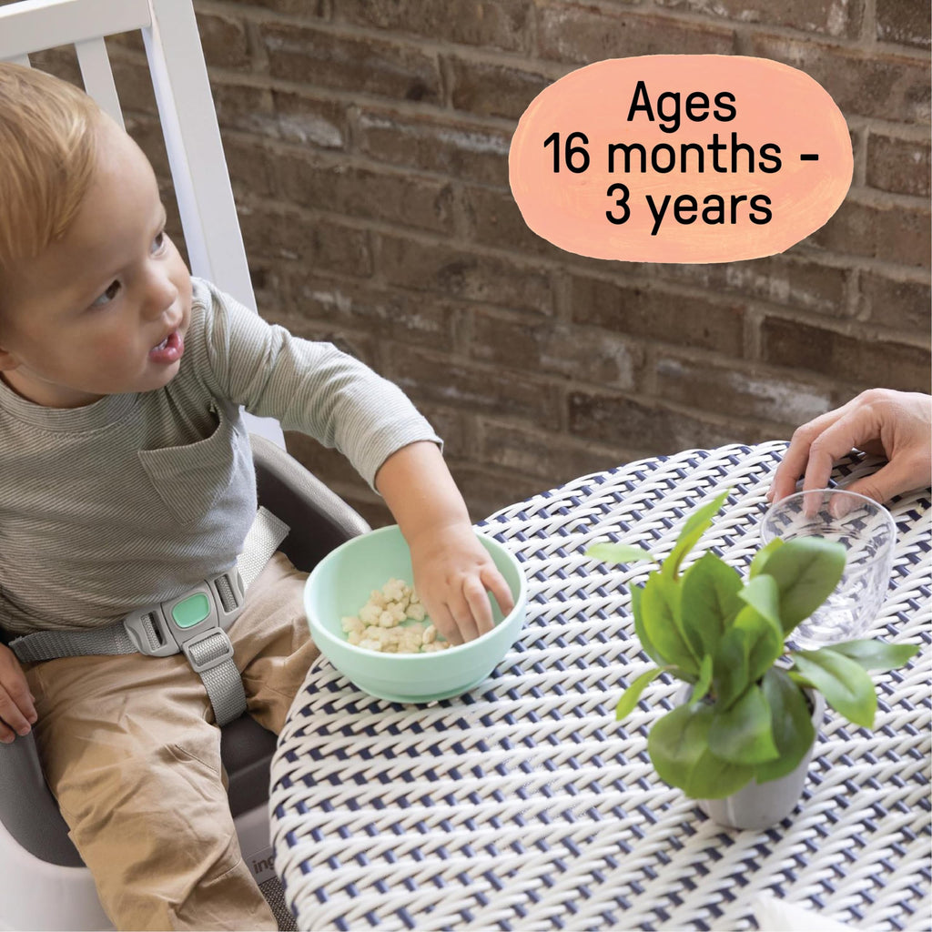Lightweight Easy-Clean Toddler Booster Seat E2396