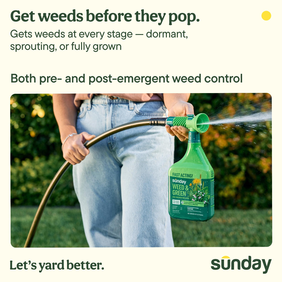 32oz 2-Pack Lawn Weed Killer & Greening Kit P521