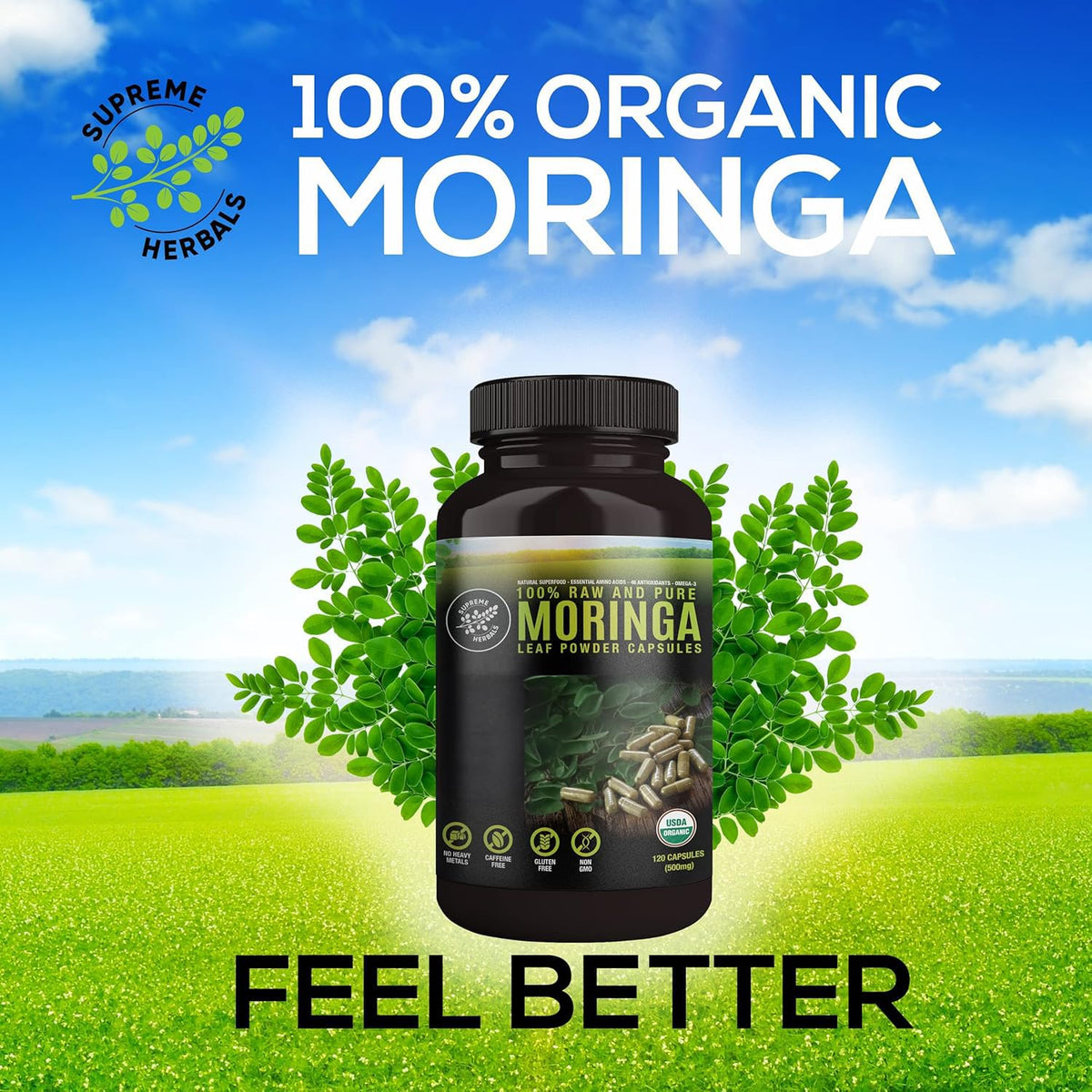 Organic Moringa Leaf Powder Capsules 500mg 120 Capsules Q257252