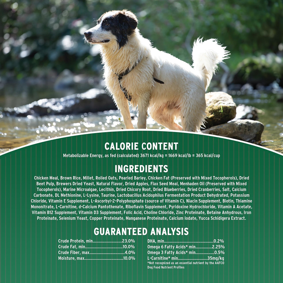 Dry Dog Food 23% Protein Chicken & Brown Rice 12-lb Bag P639520